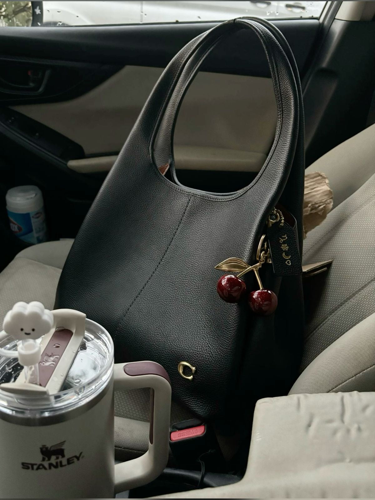 Cherry Bag Charm