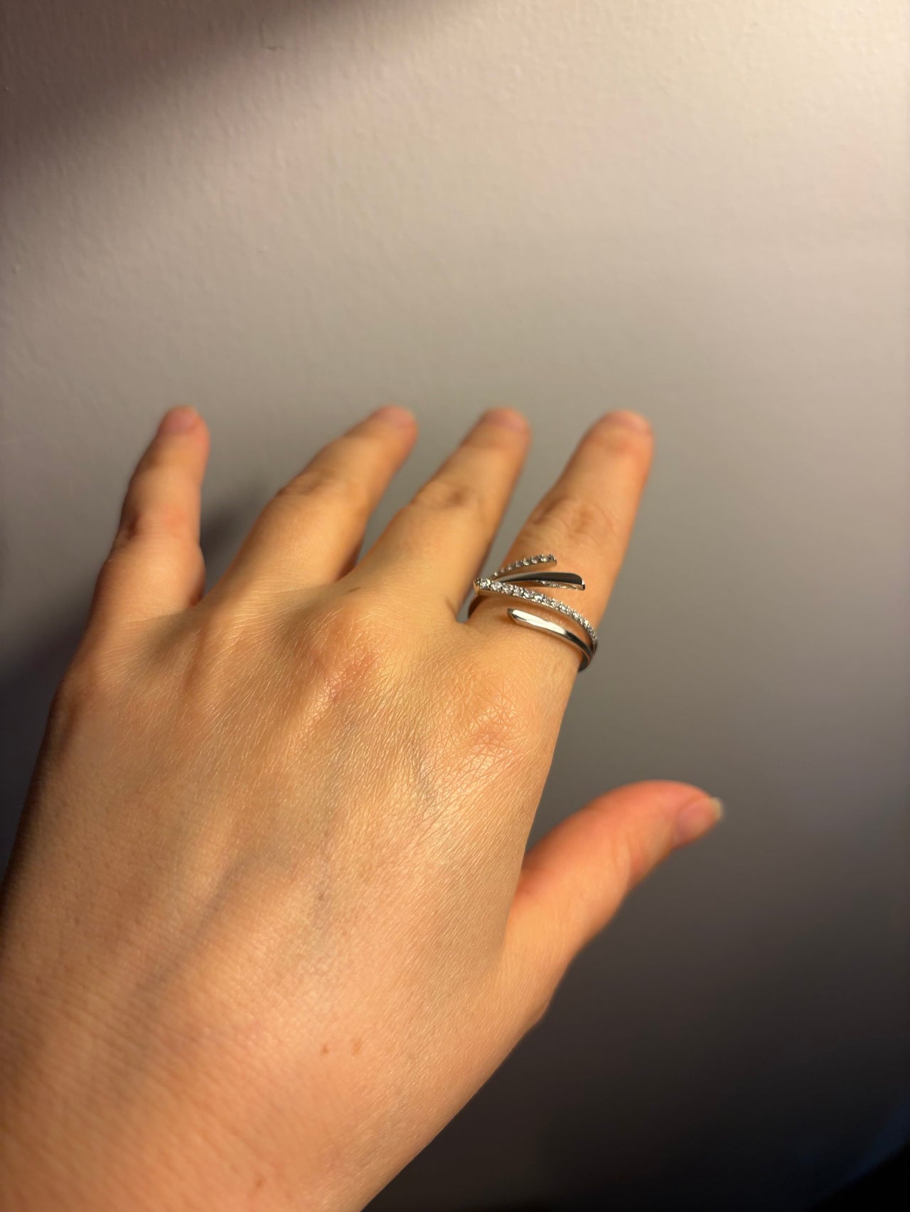 Özel seri Silver yüzük (ayarlanabilir)
